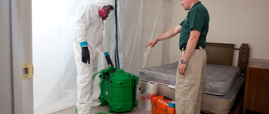 Middleborough, MA mold removal process
